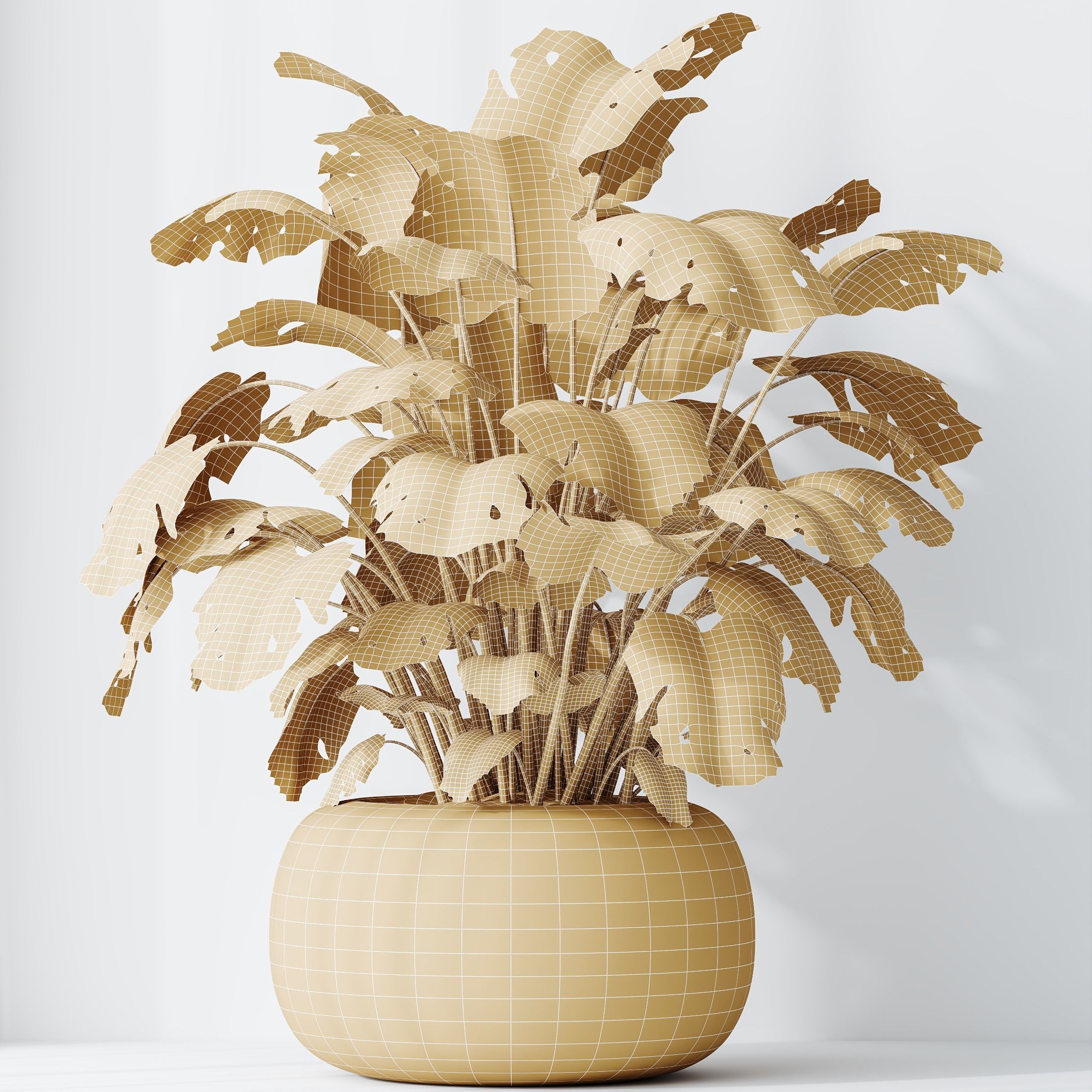 HousePlants Giant Monstera Deliciosa Swiss Cheese 3D model_4