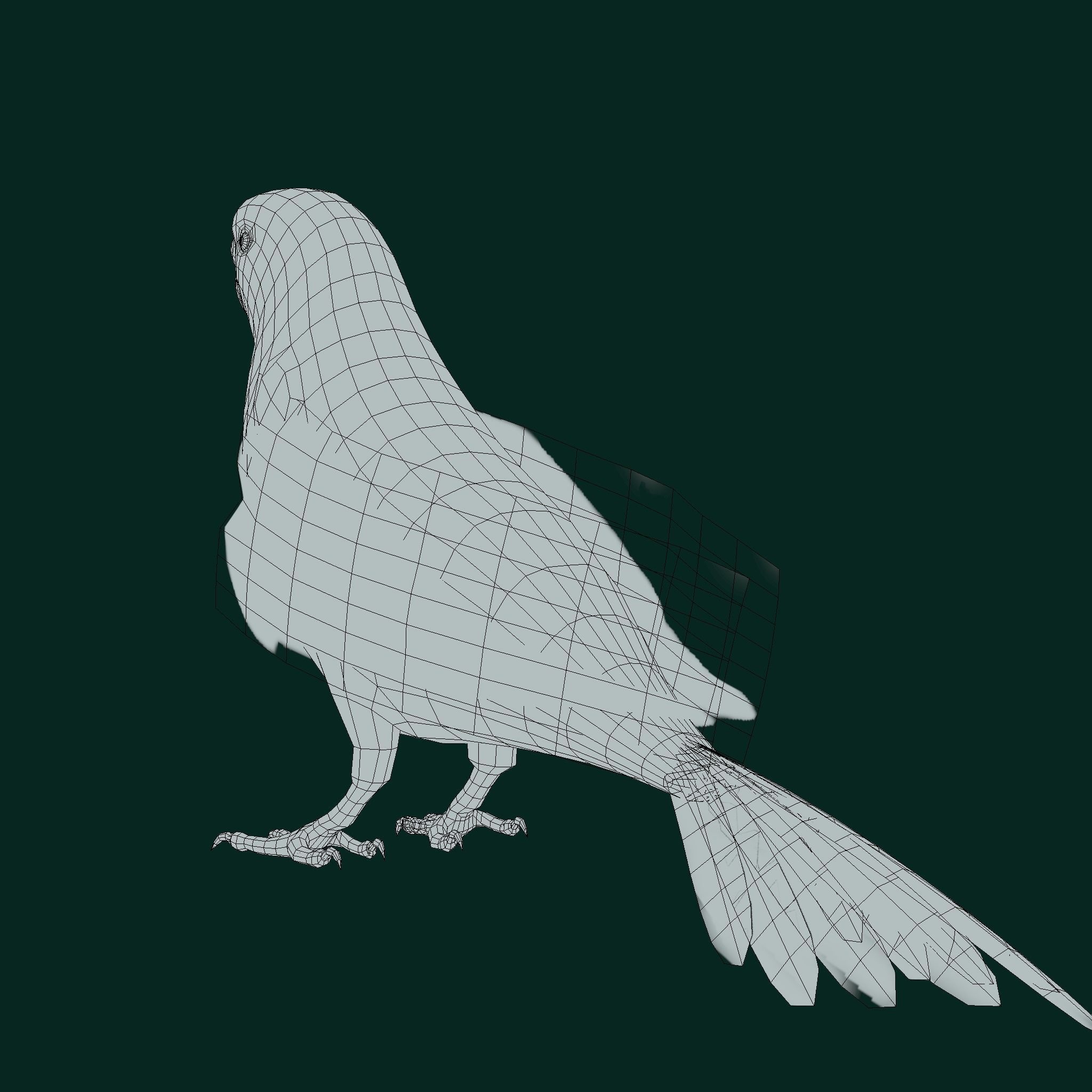 Budgerigar Budgie Bird Low-poly 3D model_12