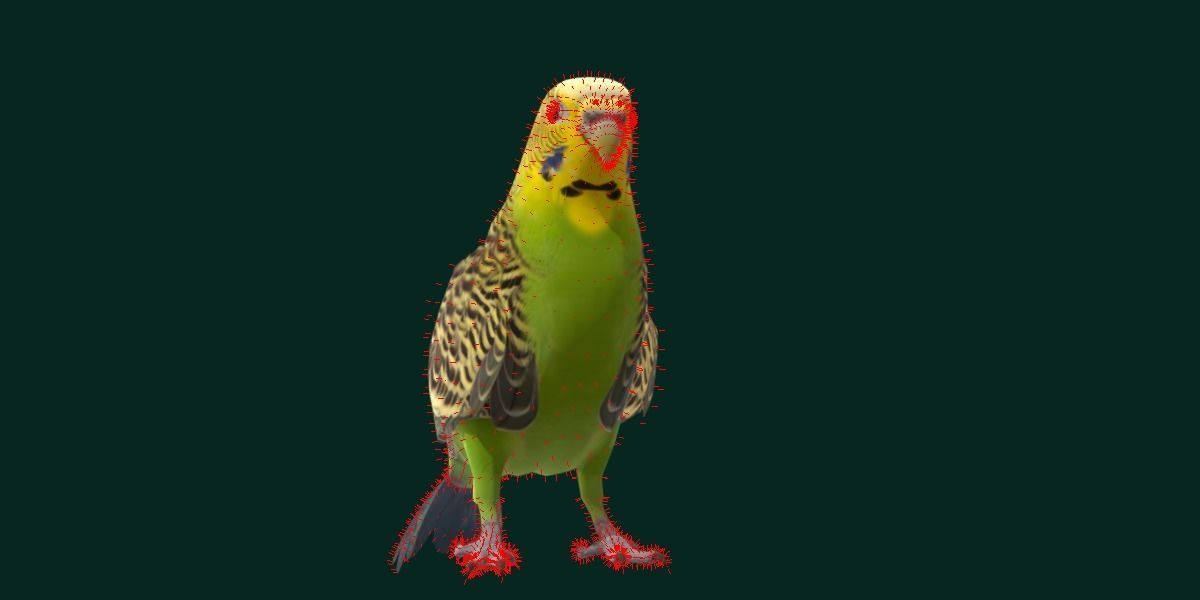 Budgerigar Budgie Bird Low-poly 3D model_7