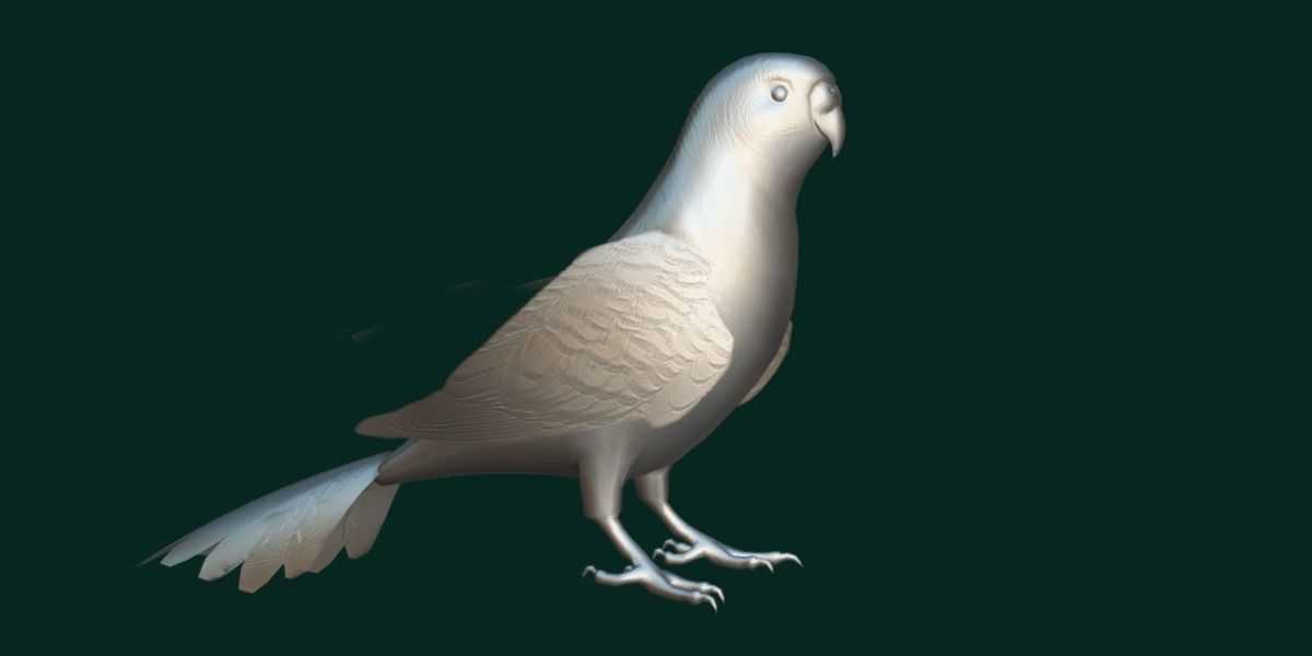Budgerigar Budgie Bird Low-poly 3D model_21