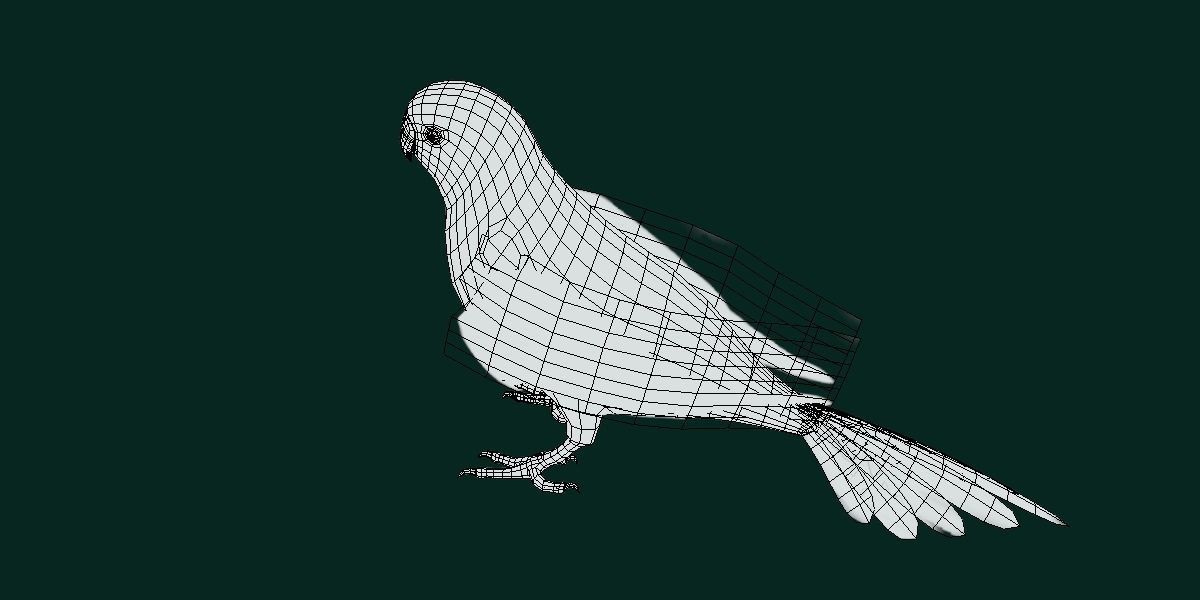 Budgerigar Budgie Bird Low-poly 3D model_5