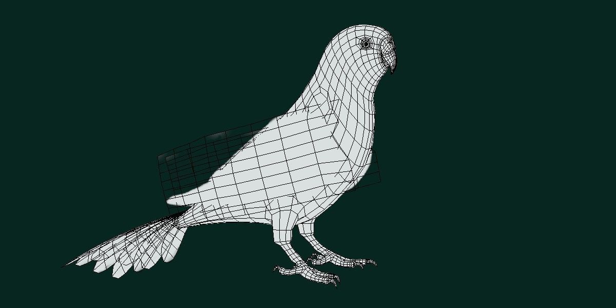 Budgerigar Budgie Bird Low-poly 3D model_4