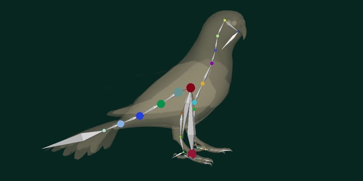 Budgerigar Budgie Bird Low-poly 3D model_3