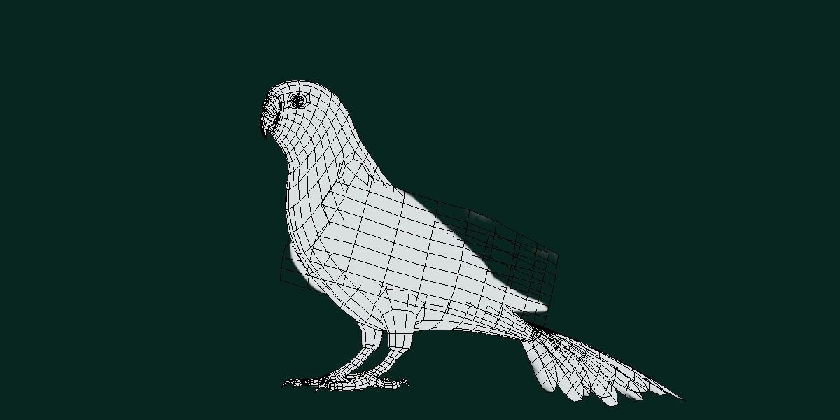 Budgerigar Budgie Bird Low-poly 3D model_6