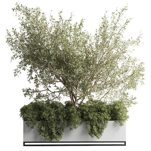 Concrete Box Plants on stand - indoor plant set 432 Low-poly 3D model