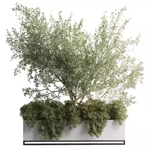 Concrete Box Plants on stand - indoor plant set 432