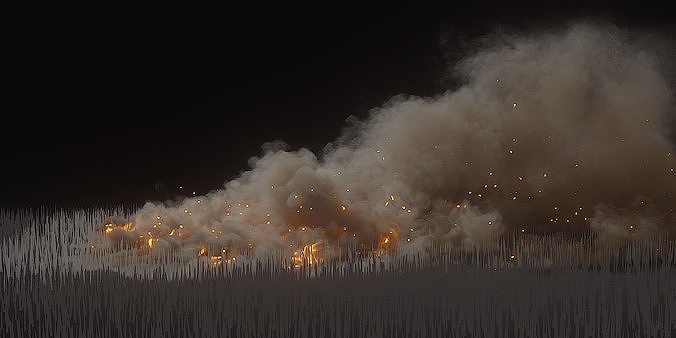 Fire Model 10 Animated Fire VDB Models 3D model animated | CGTrader