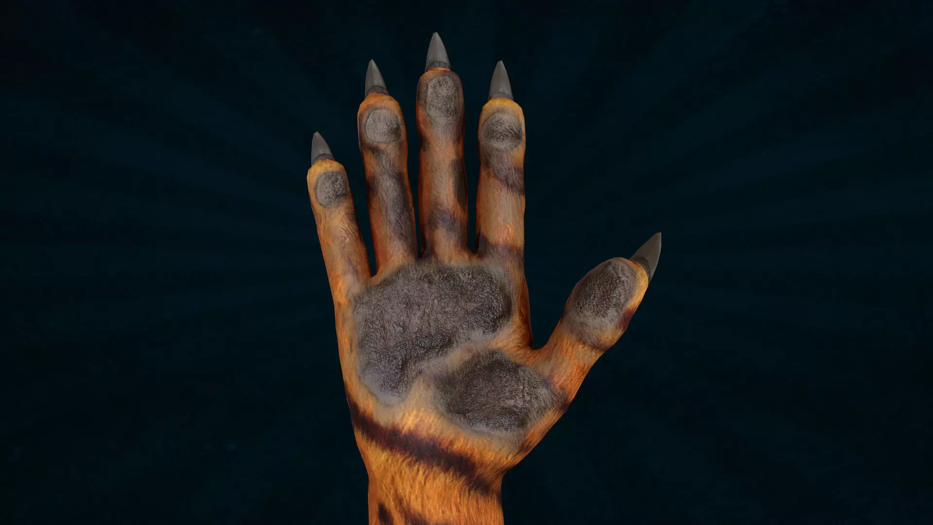 HAND-051 Rigged right hand Low-poly 3D model_0