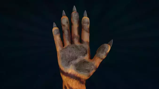 HAND-051 Rigged right hand