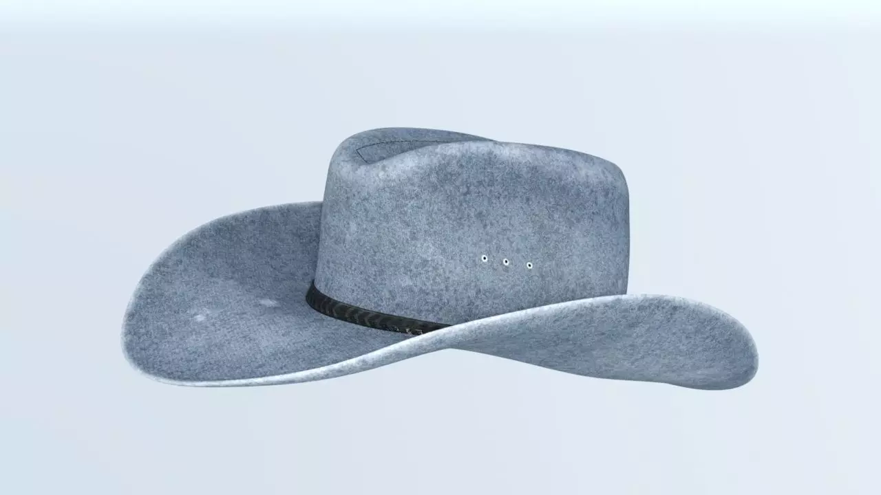 cowboy hat 3D model_0