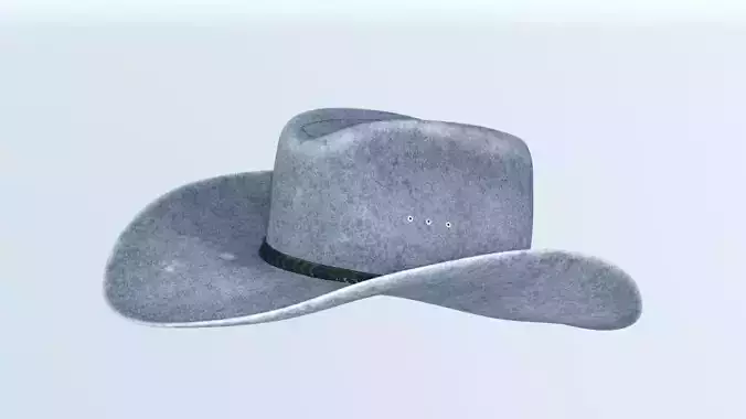 cowboy hat