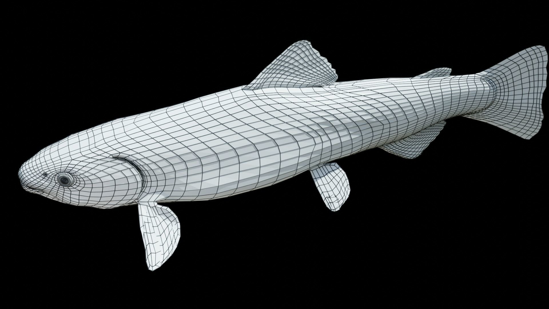 PBR Freshwater Fish Collection Low-poly 3D model_27