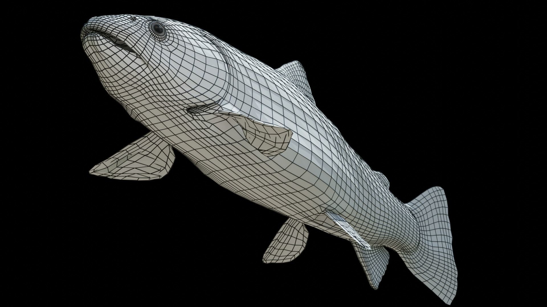 PBR Freshwater Fish Collection Low-poly 3D model_29