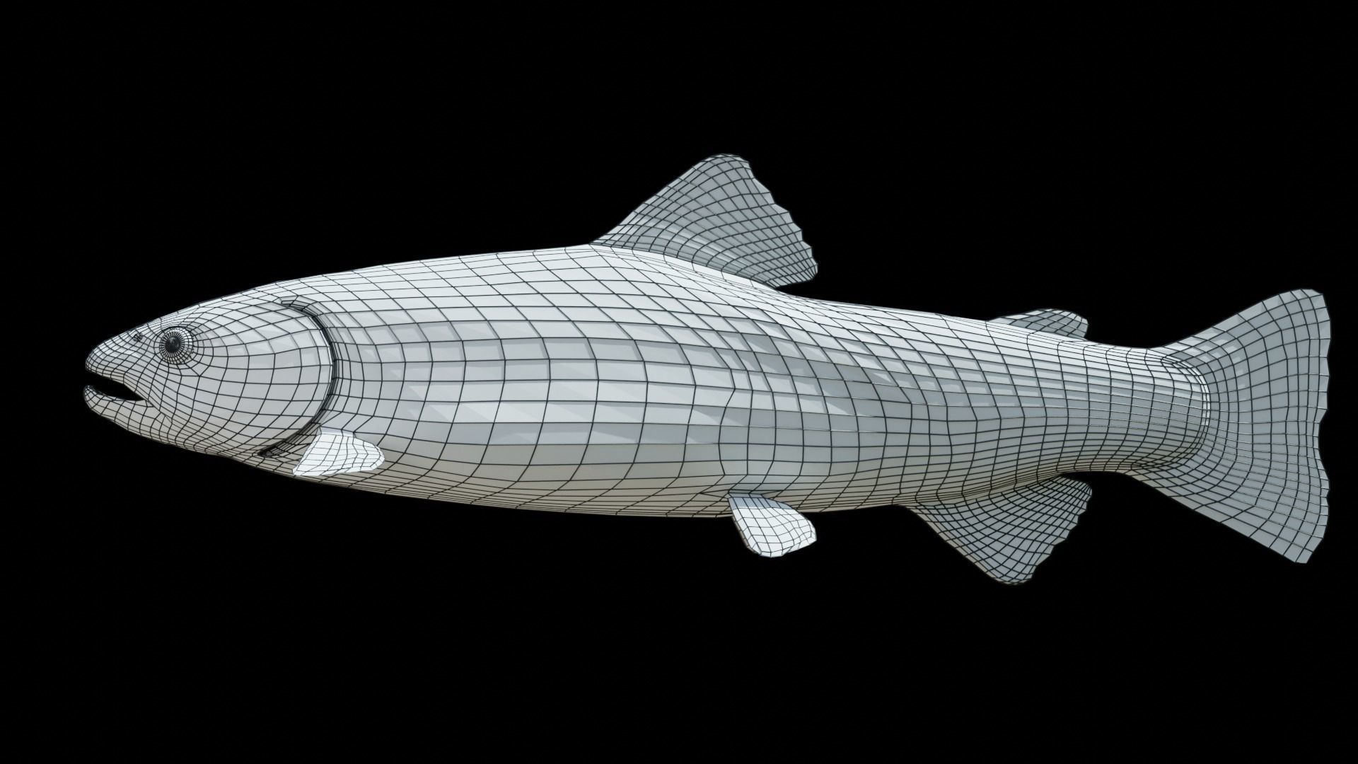 PBR Freshwater Fish Collection Low-poly 3D model_26