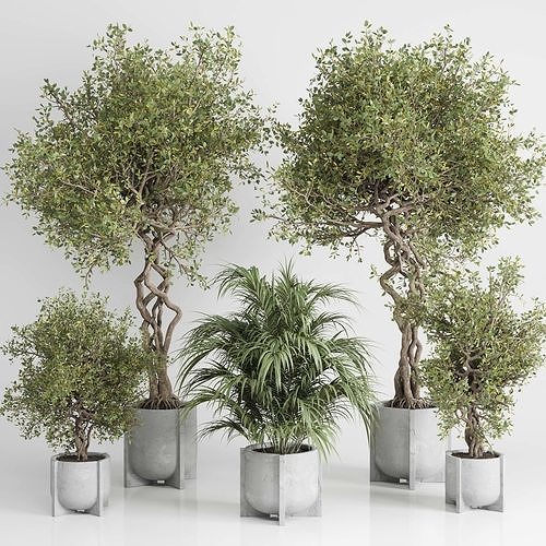 outdoor plant set 185 pot plant tree palm concrete dirt vase Low-poly 3D model