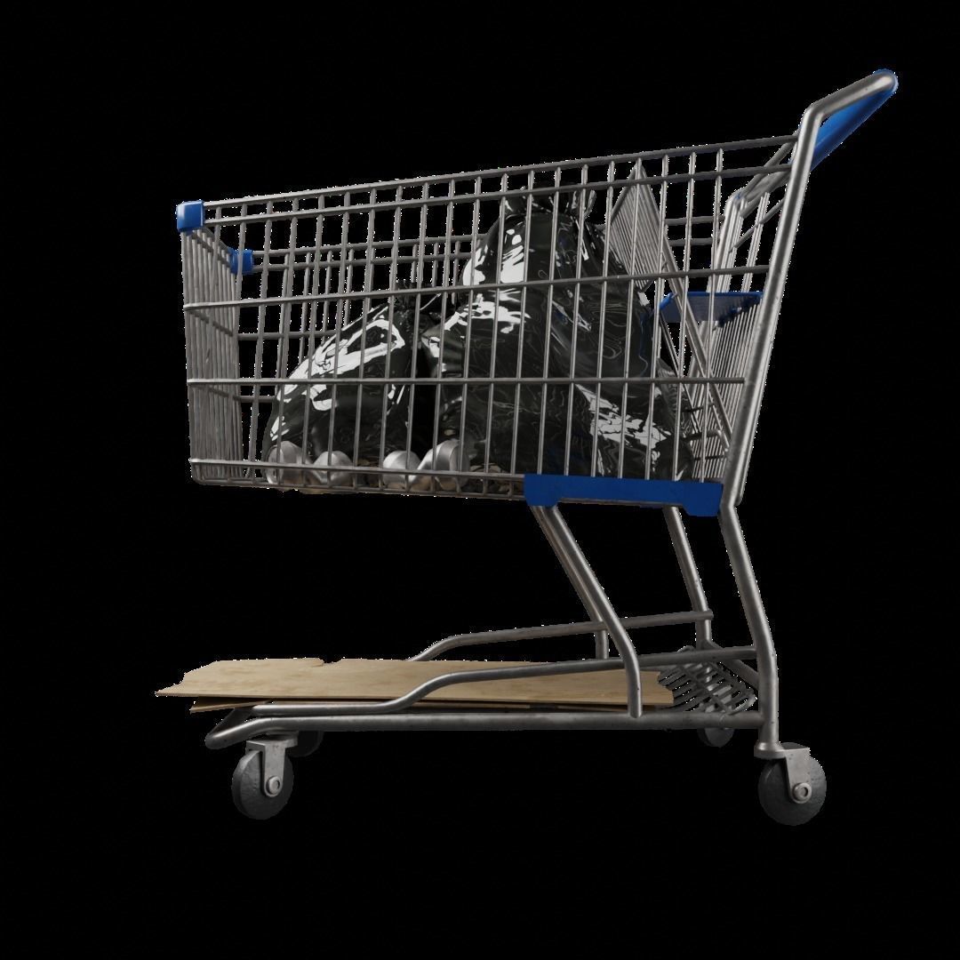 Shopping Cart high quality 3D model_2