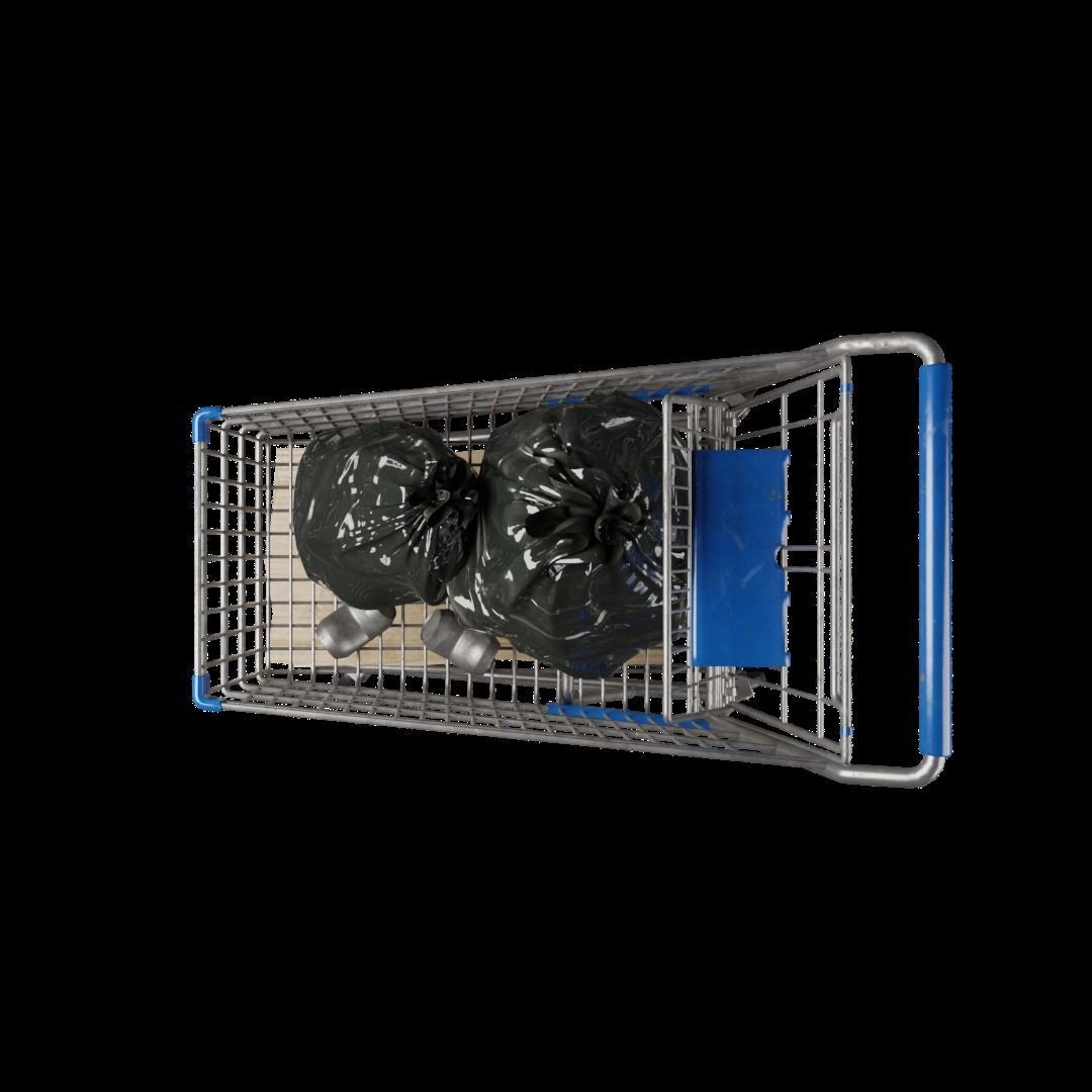 Shopping Cart high quality 3D model_3