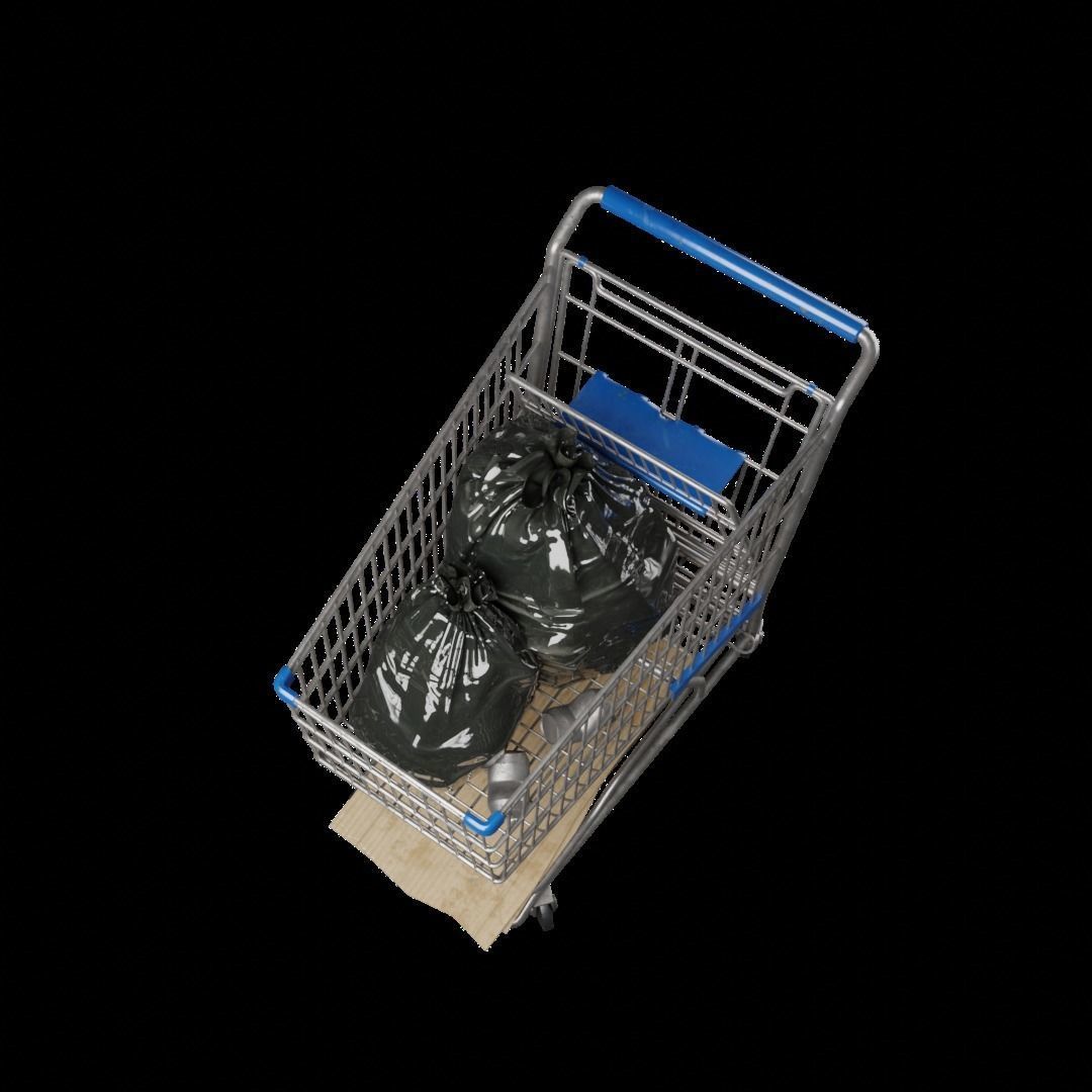 Shopping Cart high quality 3D model_4