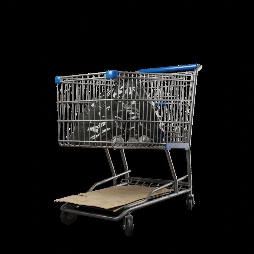 Shopping Cart high quality 3D model_1