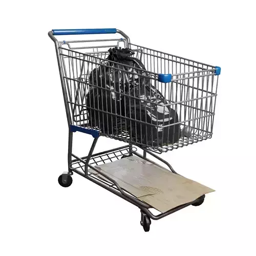 Shopping Cart high quality 3D model