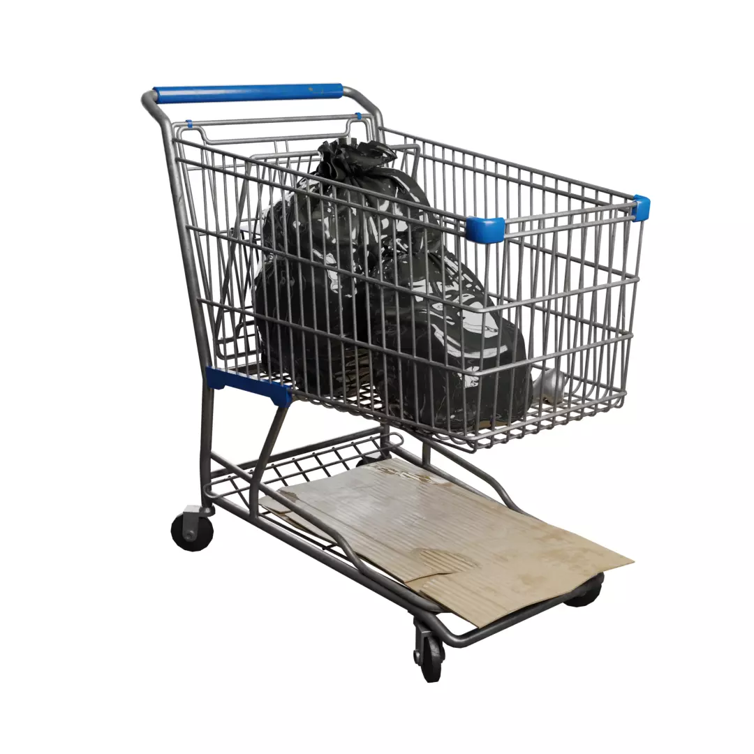 Shopping Cart high quality 3D model_0