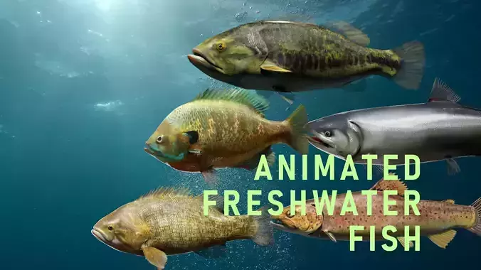 Animated Freshwater Fish Low-poly 3D model