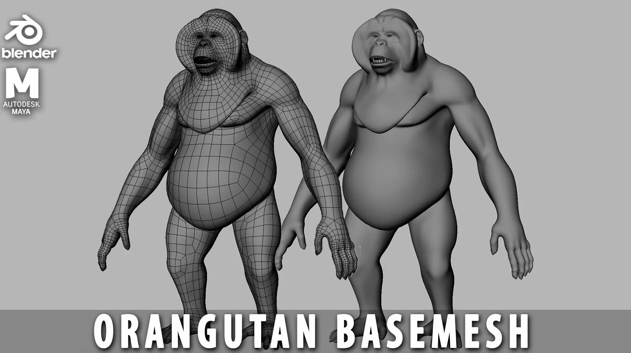 Orangutan BaseMesh Low-poly 3D model_0