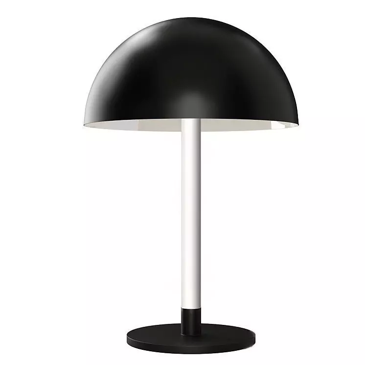 RAY by Maytoni  3D model_0