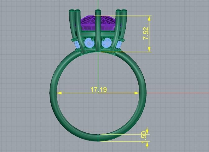 Ring Model 4510 3D print model_5