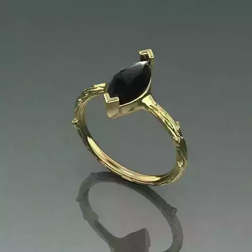 Ring Model 4582