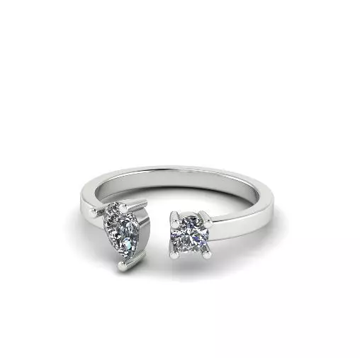 Ring Model 4620 3D print model_0