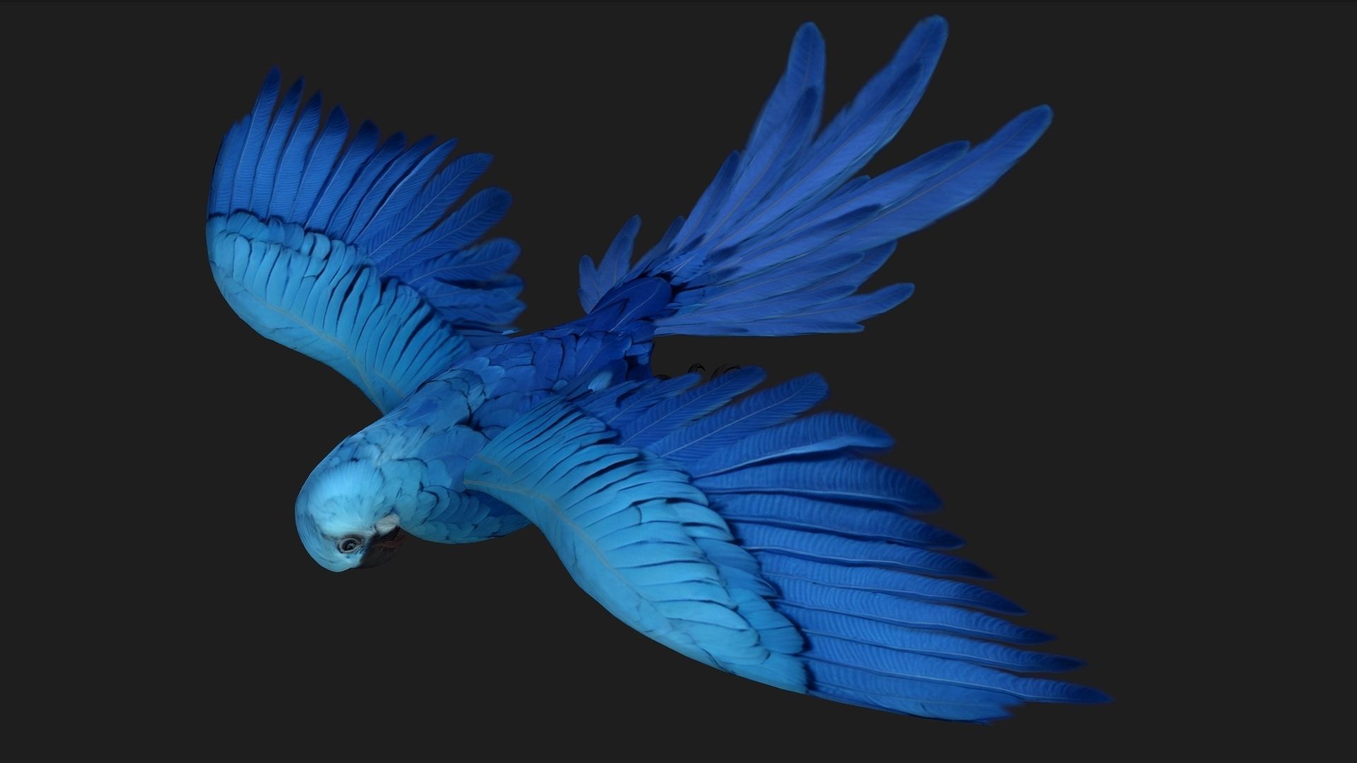 Parrot A4 3D model_5