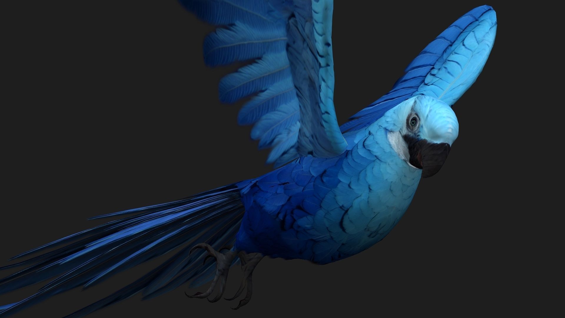 Parrot A4 3D model_8