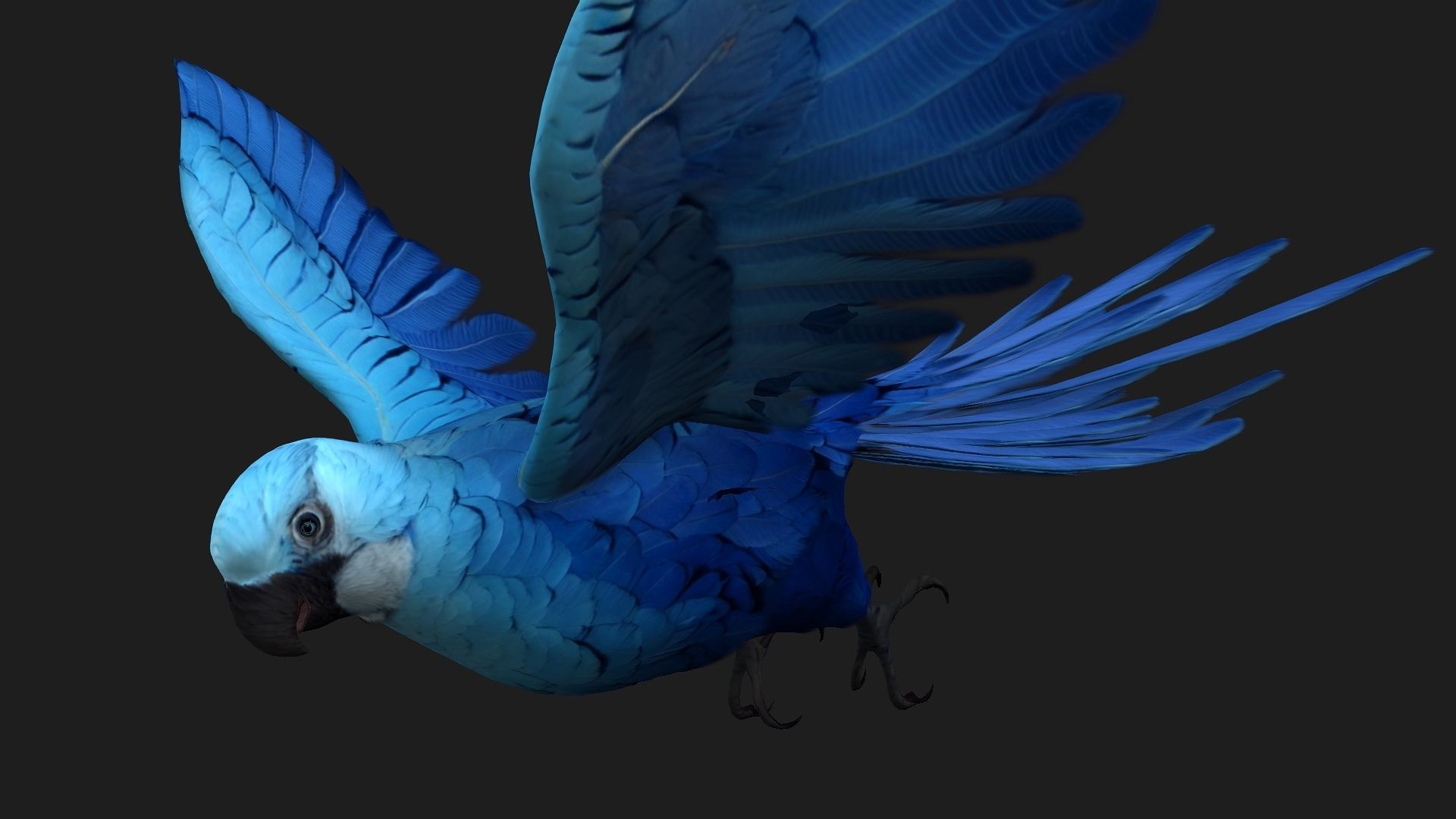Parrot A4 3D model_3