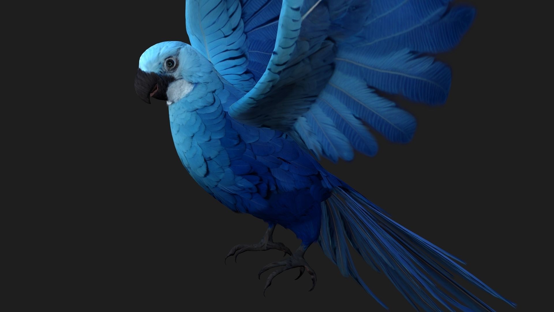 Parrot A4 3D model_2