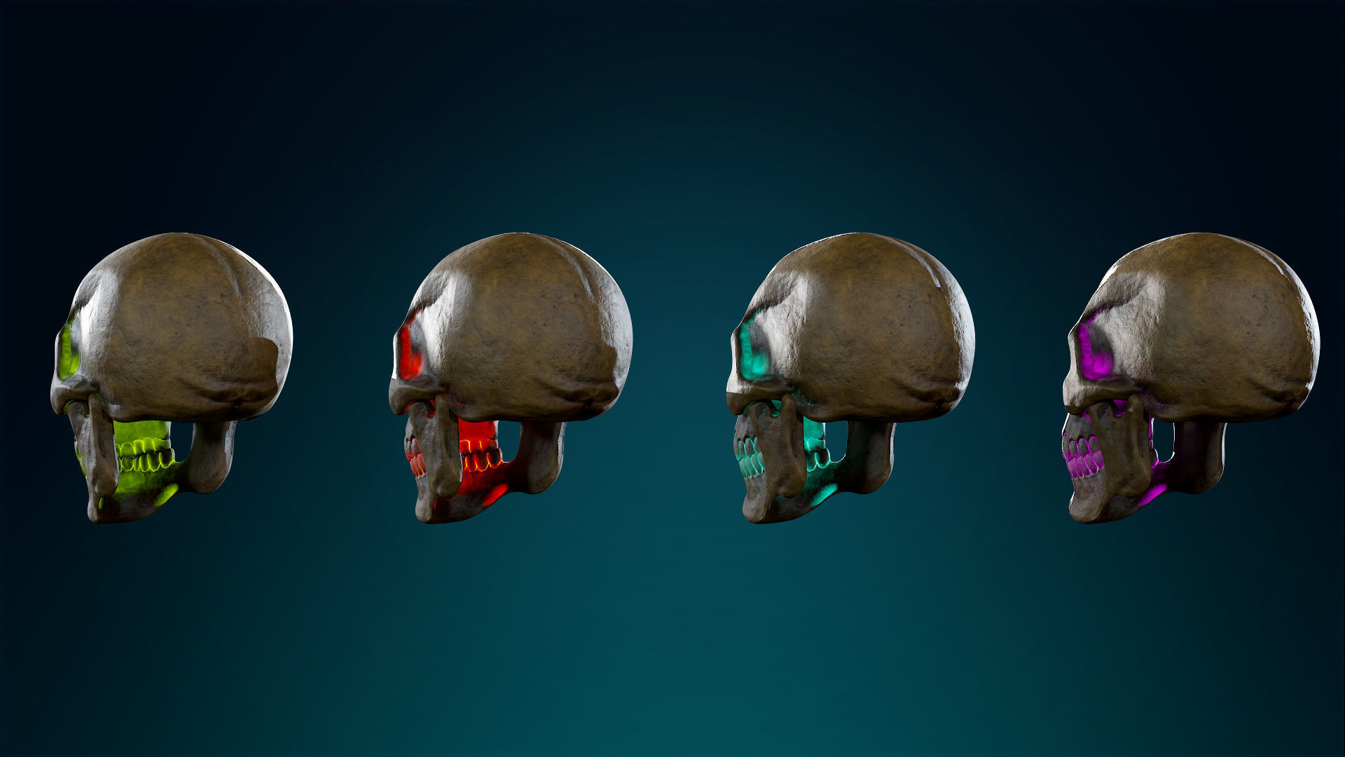 Human Skeleton Skull Pack - Gameready - Lowpoly - Textured PBR Low-poly 3D model_23