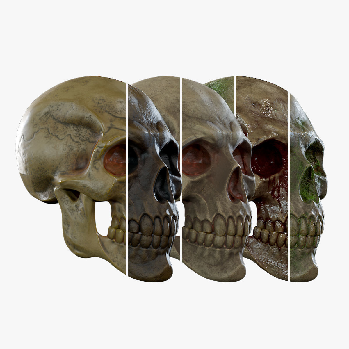 Human Skeleton Skull Pack - Gameready - Lowpoly - Textured PBR Low-poly 3D model_17