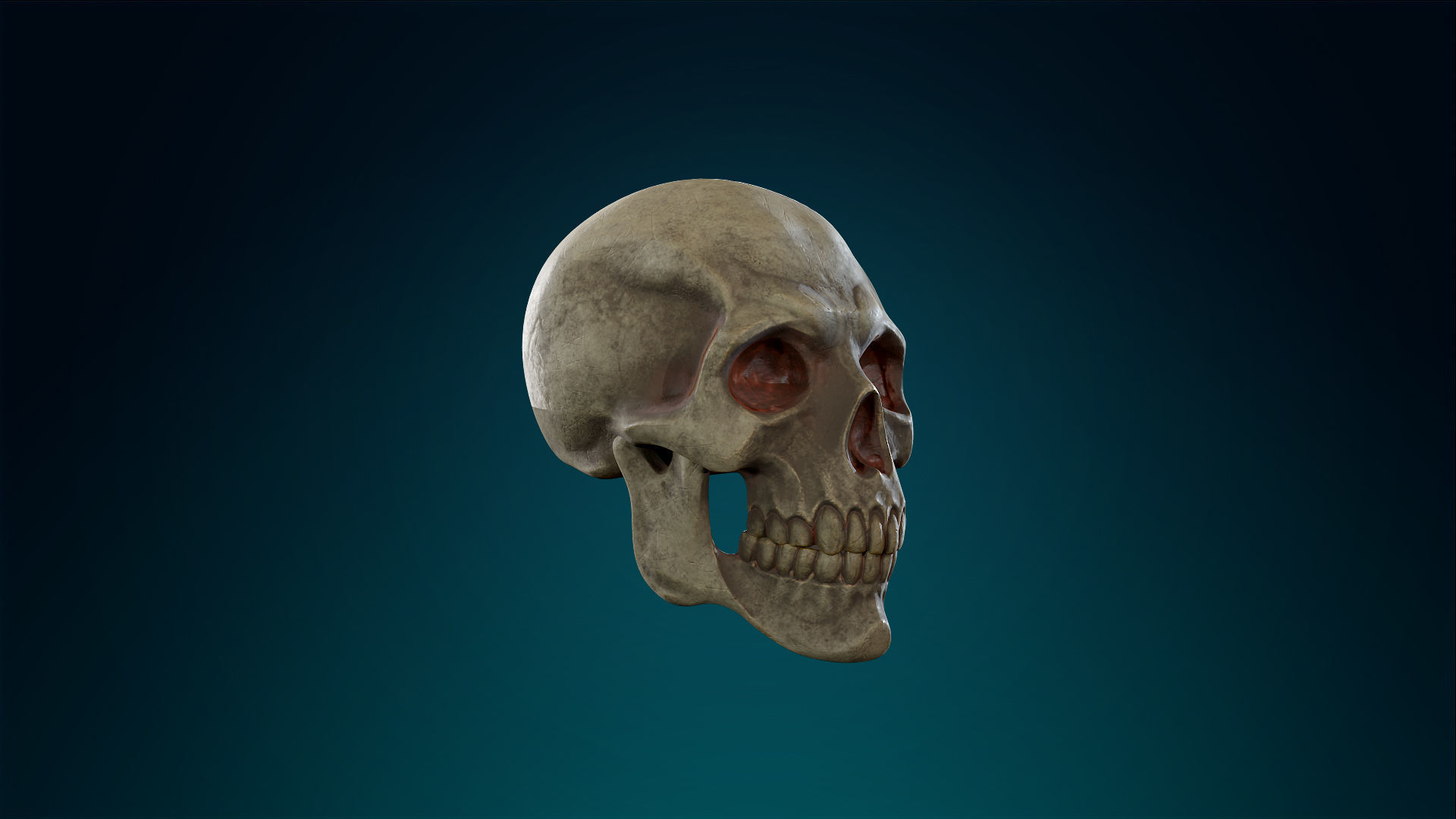 Human Skeleton Skull Pack - Gameready - Lowpoly - Textured PBR Low-poly 3D model_8