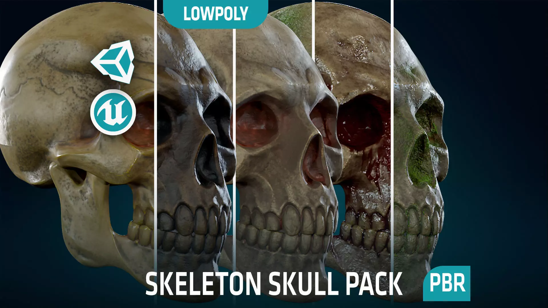 Human Skeleton Skull Pack - Gameready - Lowpoly - Textured PBR Low-poly 3D model_0