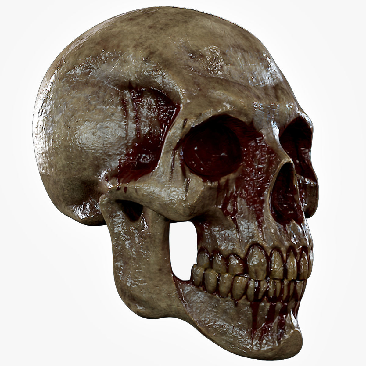 Human Skeleton Skull Pack - Gameready - Lowpoly - Textured PBR Low-poly 3D model_21
