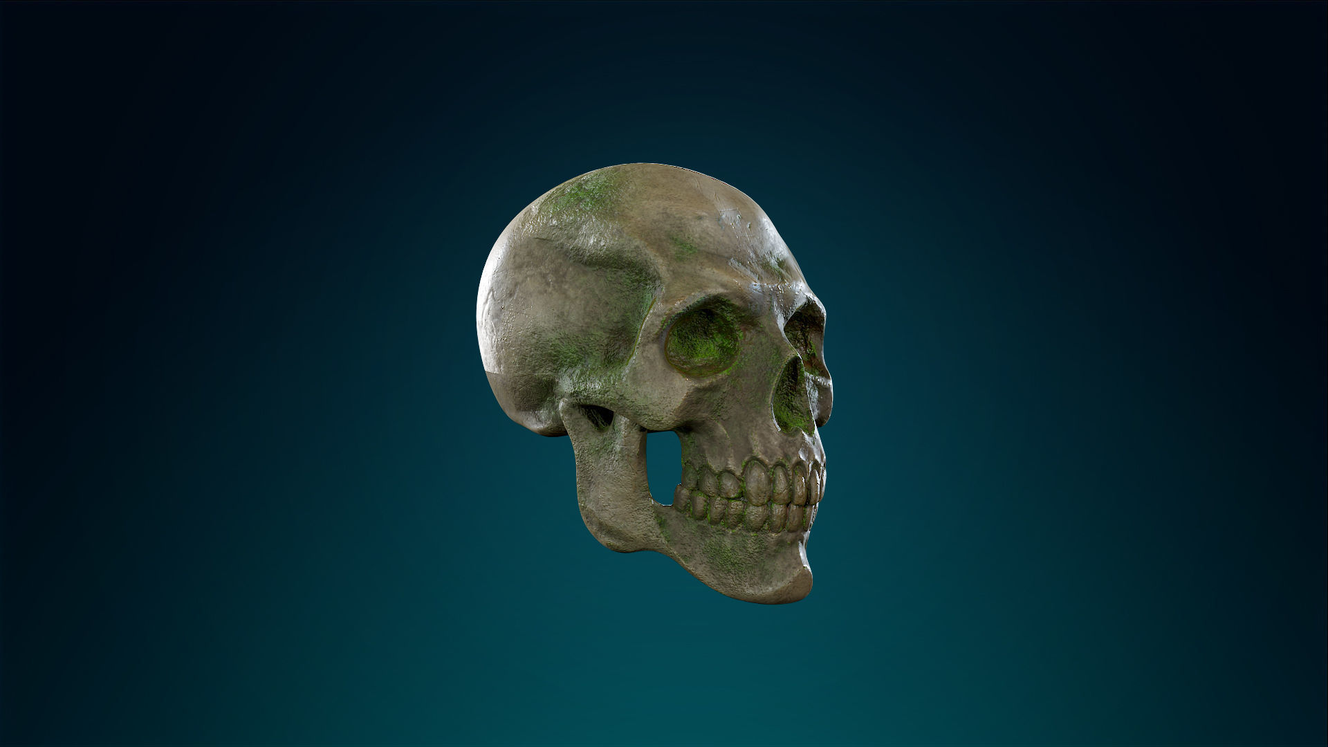 Human Skeleton Skull Pack - Gameready - Lowpoly - Textured PBR Low-poly 3D model_9