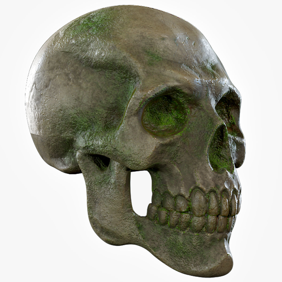 Human Skeleton Skull Pack - Gameready - Lowpoly - Textured PBR Low-poly 3D model_22