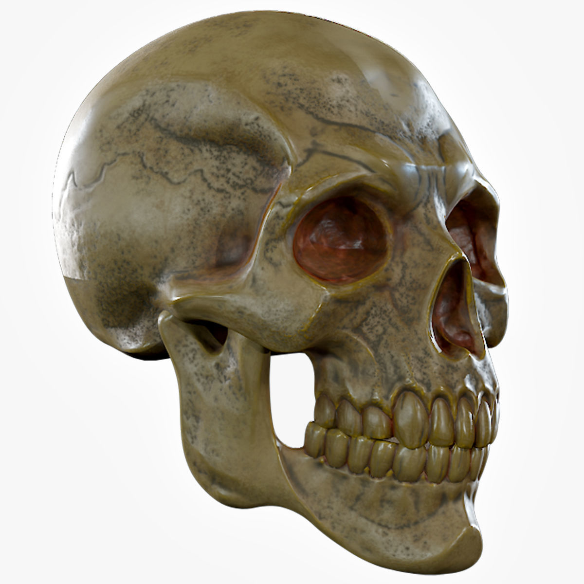 Human Skeleton Skull Pack - Gameready - Lowpoly - Textured PBR Low-poly 3D model_18