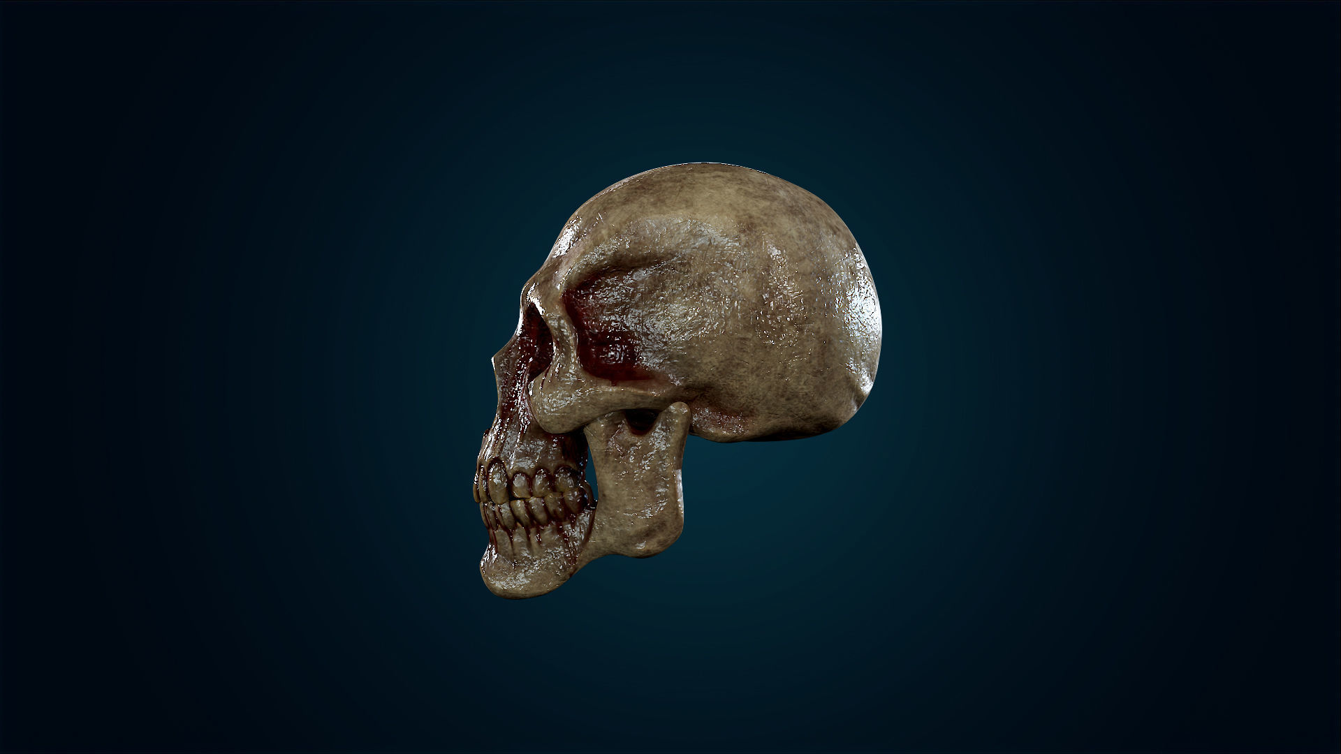 Human Skeleton Skull Pack - Gameready - Lowpoly - Textured PBR Low-poly 3D model_34