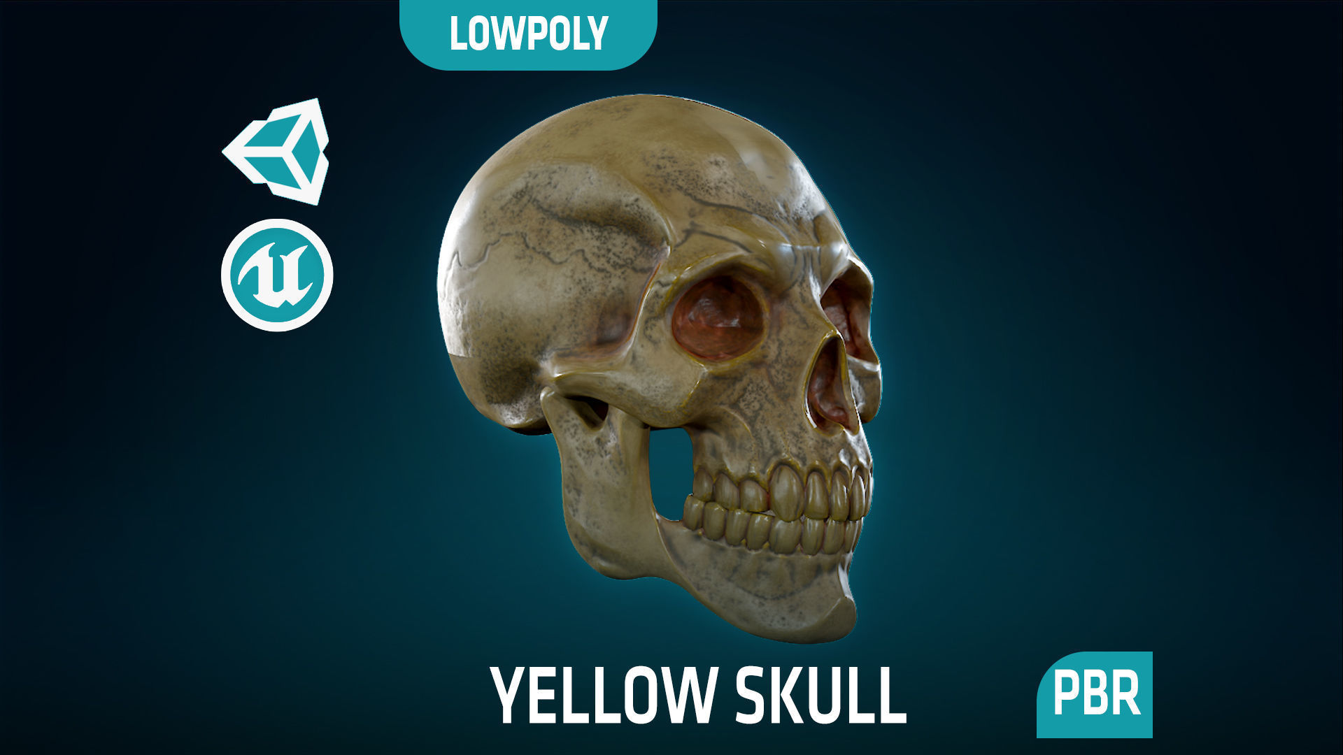 Human Skeleton Skull Pack - Gameready - Lowpoly - Textured PBR Low-poly 3D model_32