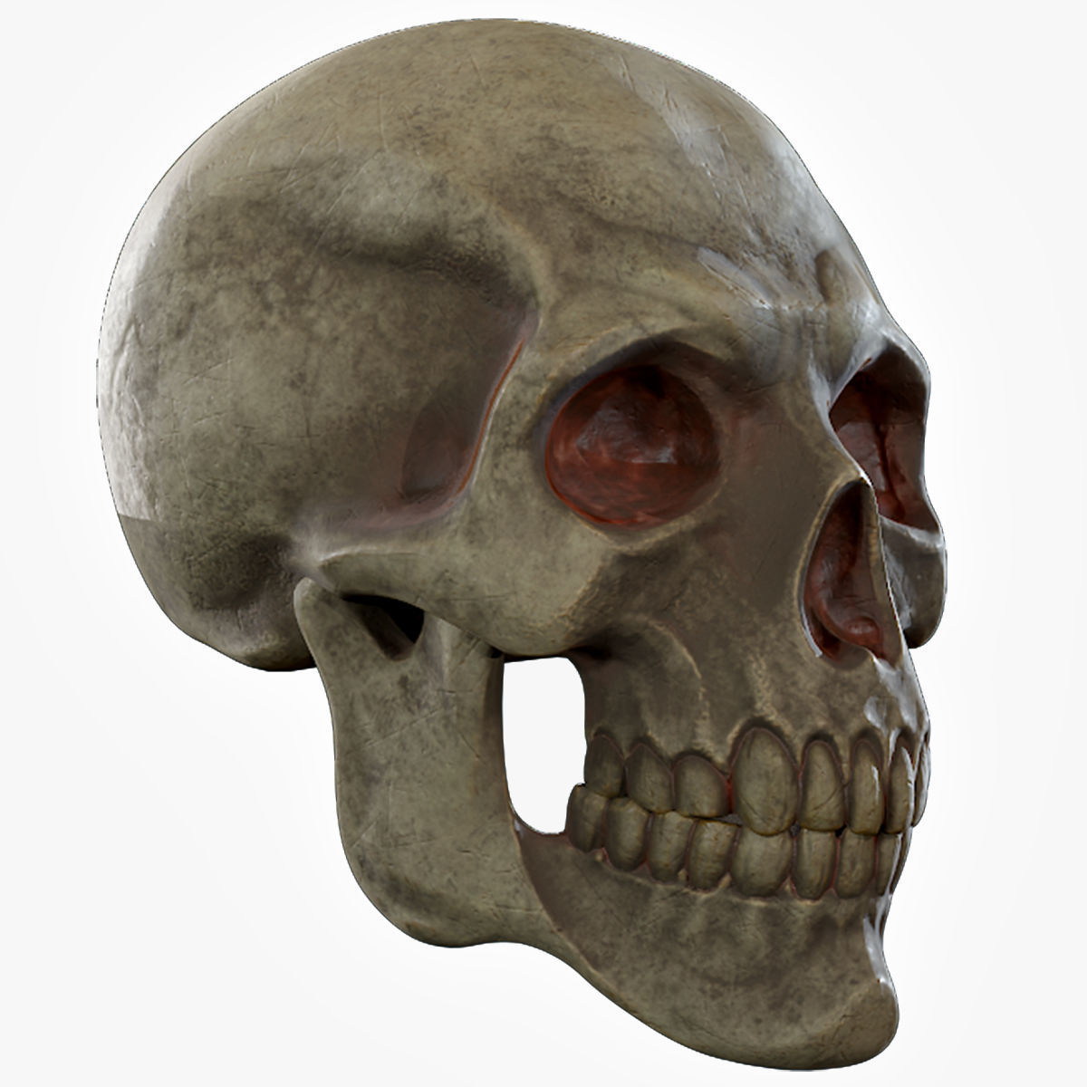 Human Skeleton Skull Pack - Gameready - Lowpoly - Textured PBR Low-poly 3D model_20