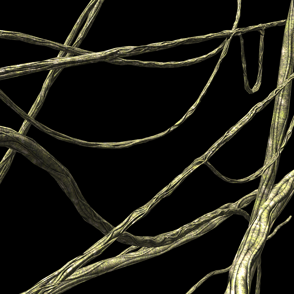 Vines in forest Low-poly 3D model_1