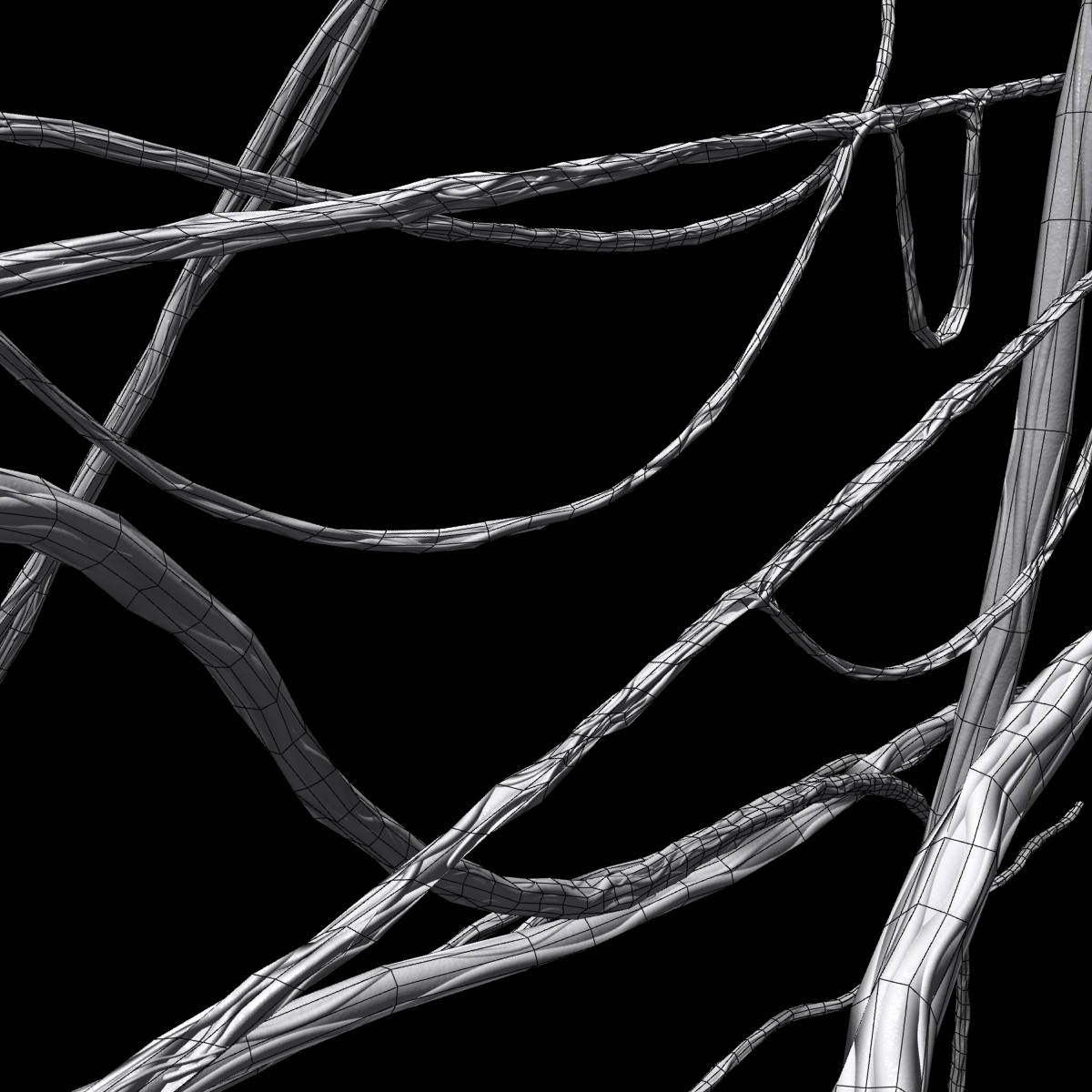 Vines in forest Low-poly 3D model_2