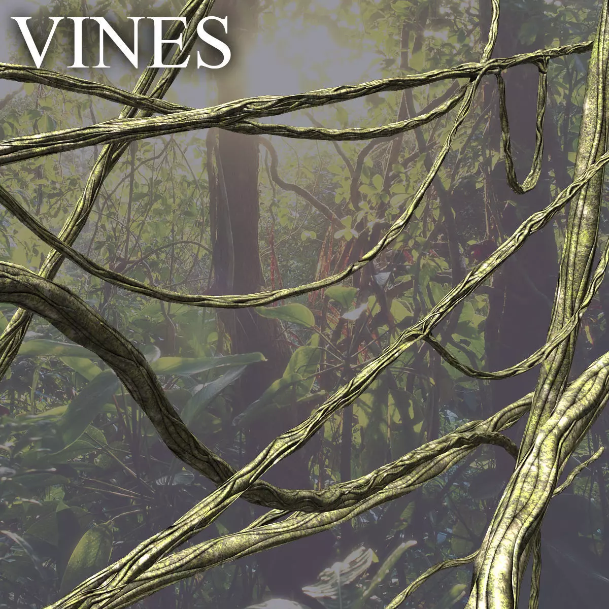 Vines in forest Low-poly 3D model_0