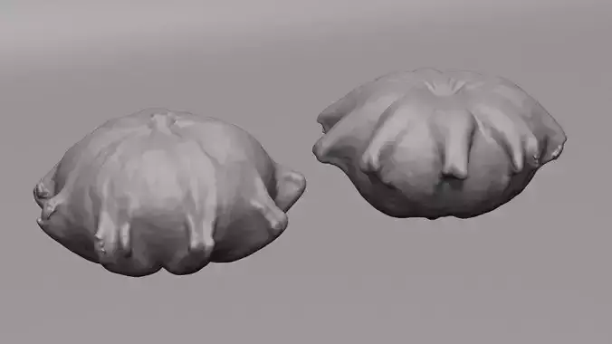 Pumpkin - mini -3D scan